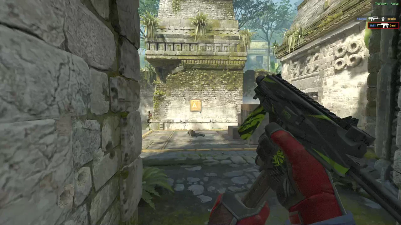 highlight